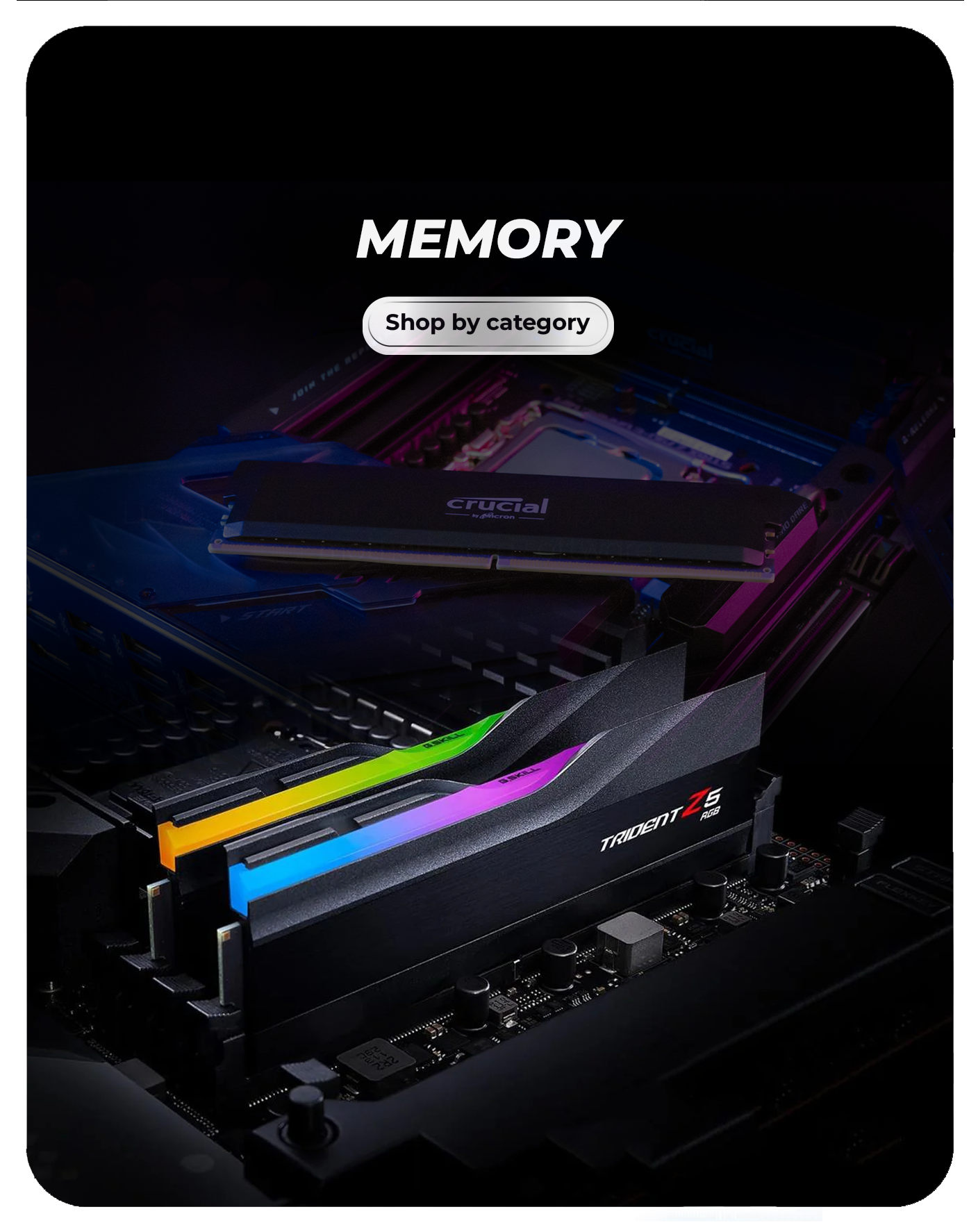 Memory