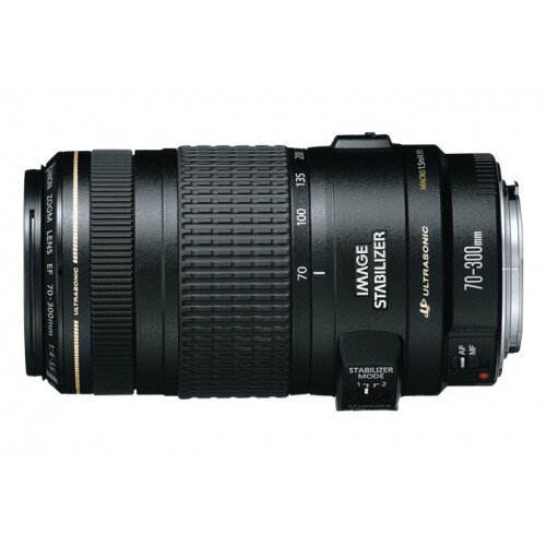 Canon EF 70-300mm Telephoto Zoom Lens - f/4-5.6 IS USM