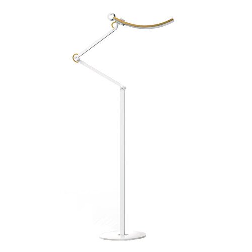 BenQ e-Reading Floor Lamp