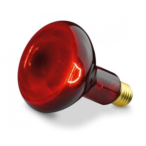 Beurer IL 11 Replacement Bulb