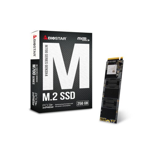 BIOSTAR M700-256GB SSD