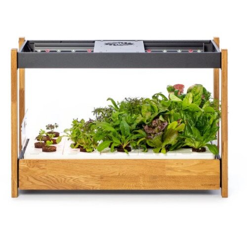 Click & Grow 25 Indoor Garden - Dark