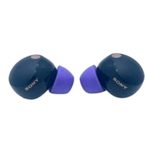 Comply TrueGrip Memory Foam Ear Tips for Sony WF-1000XM5 - Purple - Assorted S/M/L (1 Pair Each)
