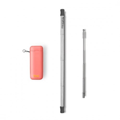 FinalStraw Reusable Drinking Straw with Case - Silver - Healthy Coral
