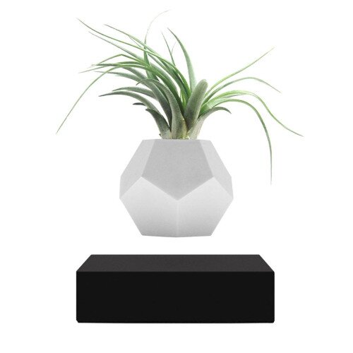 Flyte Lyfe Levitating Planter