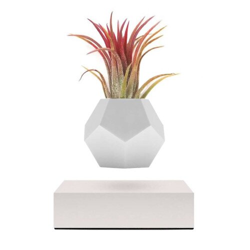 Flyte Lyfe Levitating Planter - White