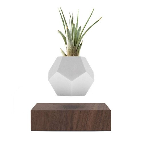 Flyte Lyfe Levitating Planter - Walnut