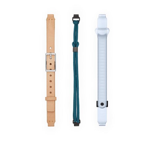 Misfit Ray Assorted Bands 3-Pack - Laguna