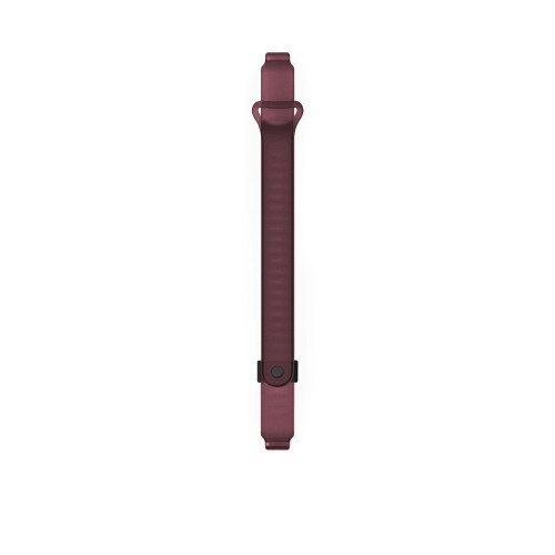 Misfit Ray Sport Band - Wine