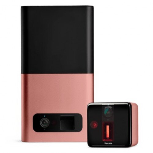 Petcube Bites & Petcube Play Pack - Rose Gold