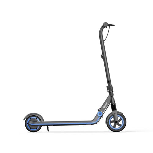 Segway Ninebot eKickScooter ZING E10