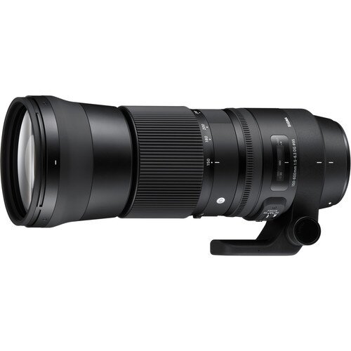 Sigma 150-600mm F5-6.3 DG OS HSM Contemporary Lens - Sigma