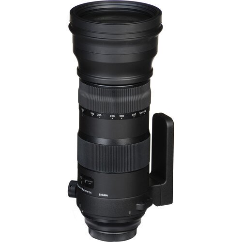 Sigma 150-600mm F5-6.3 DG OS HSM Sports Lens