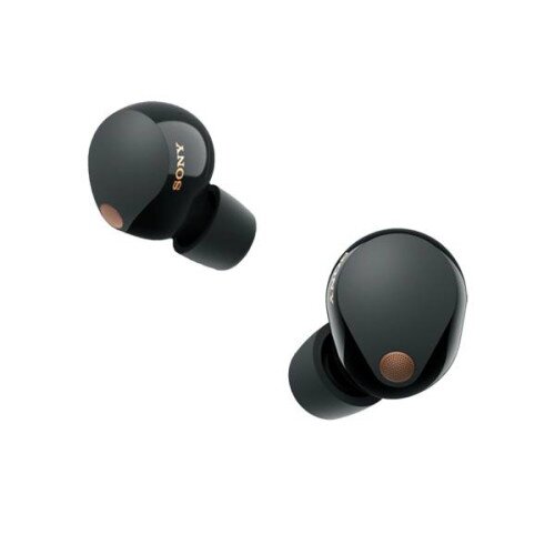 Sony WF-1000XM5 Truly Wireless Noise Canceling Earbuds