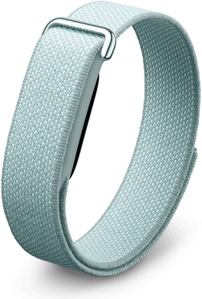 Shop Google Fitbit Air Fitness Activity Tracker - Fog in UAE - Tejar ...